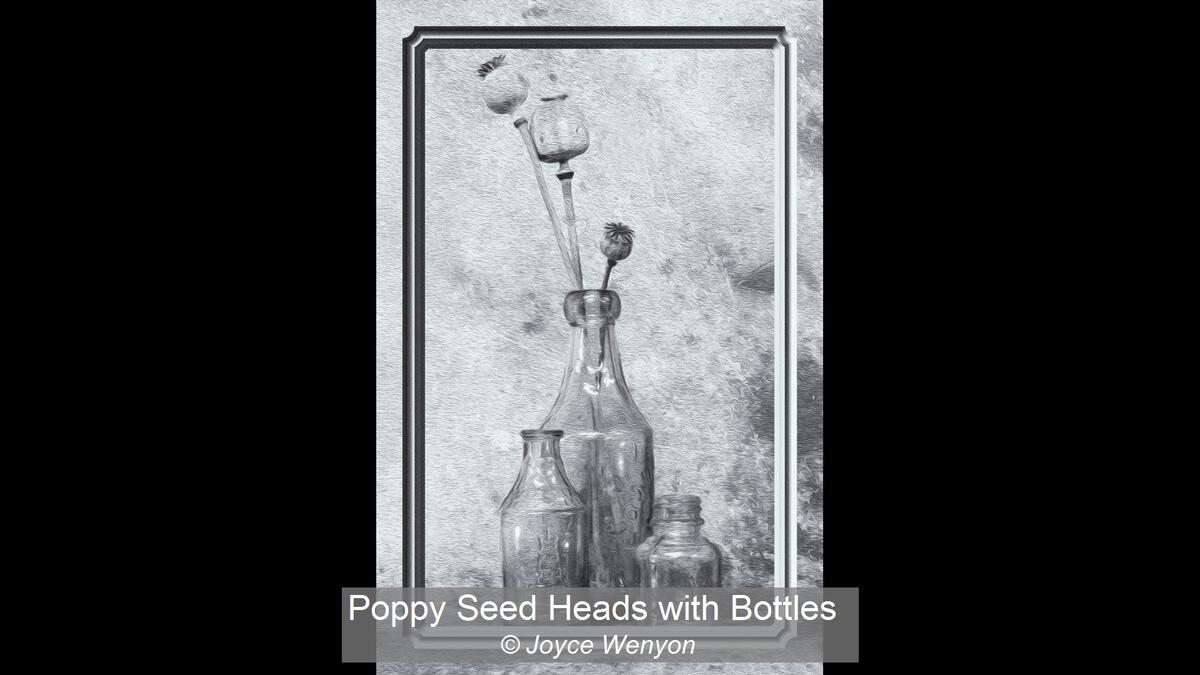 04_Poppy Seed Heads with Bottles_Joyce Wenyon